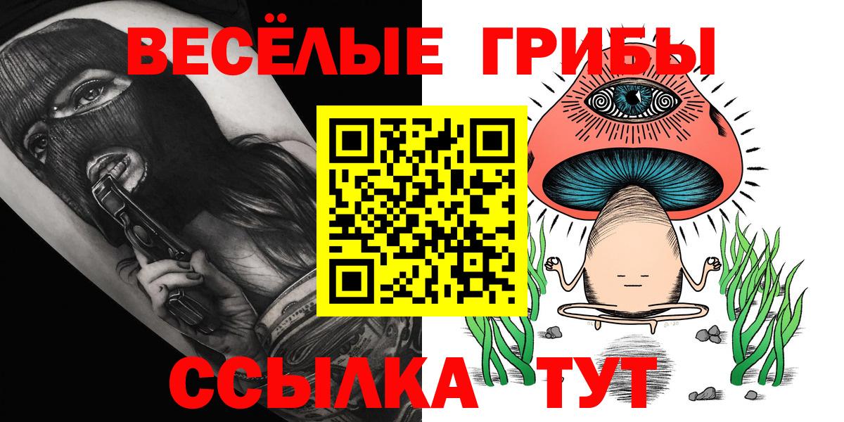 Псилоцибиновые грибы MAGIC MUSHROOMS  Галлюциногенные грибы мицелий  купить   Вход с VPN  Котовск 